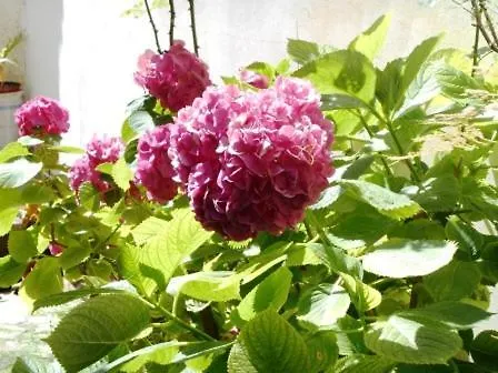 Milos * Άγιος Νικήτας